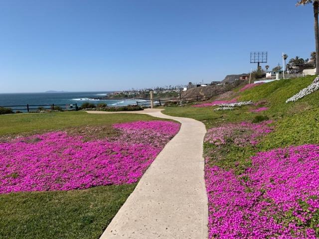 Beachfront Condo W Pools Steps To Beach & Mins To Dt Rosarito Exteriér fotografie